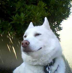 Fundraising Page: Michelle Hedt